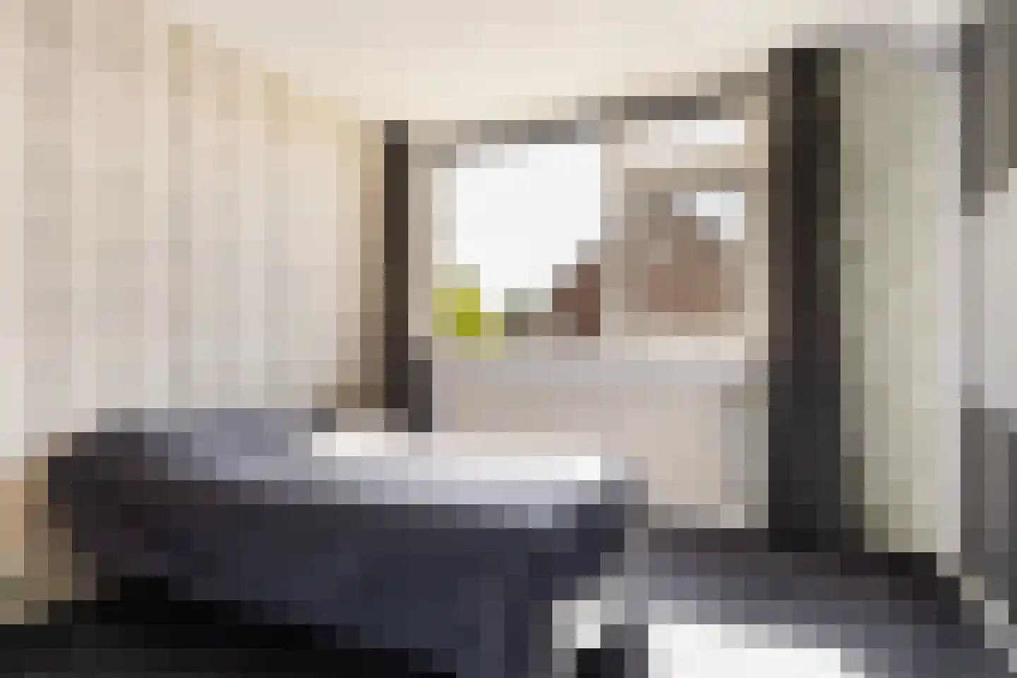 De Steenkamp 85 Voorthuizen thumbnail 19