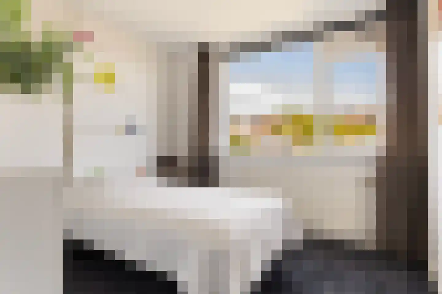 De Steenkamp 85 Voorthuizen thumbnail 21