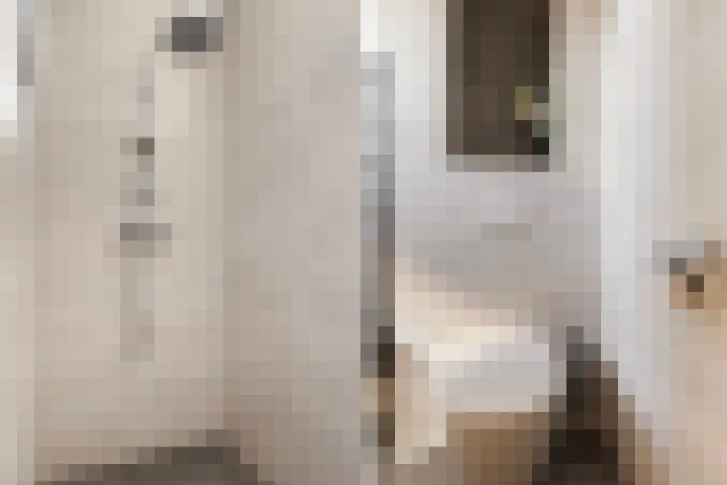 De Steenkamp 85 Voorthuizen thumbnail 26