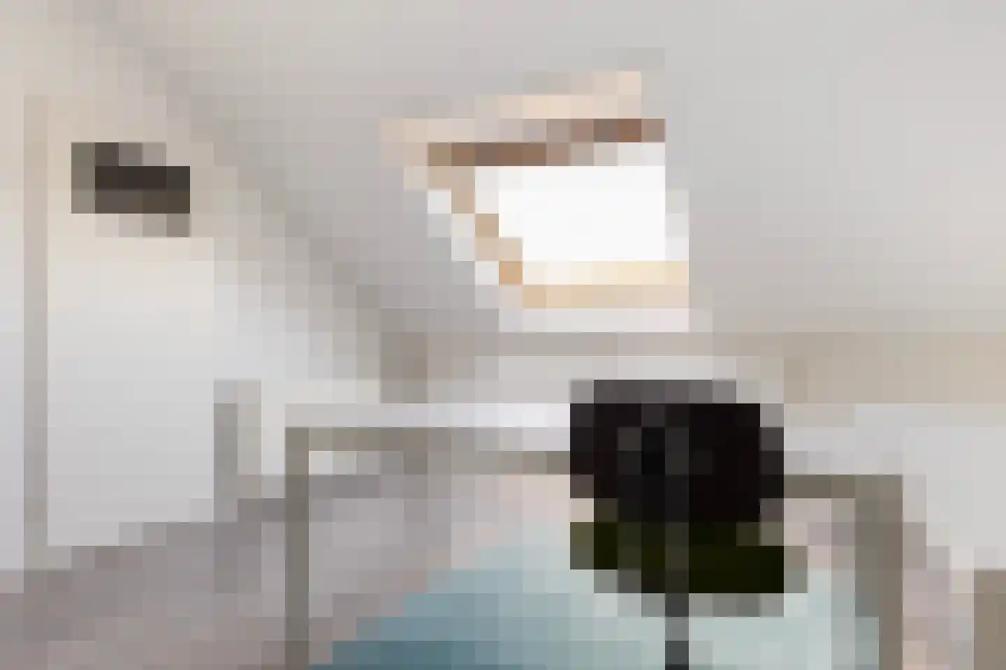 De Steenkamp 85 Voorthuizen thumbnail 28