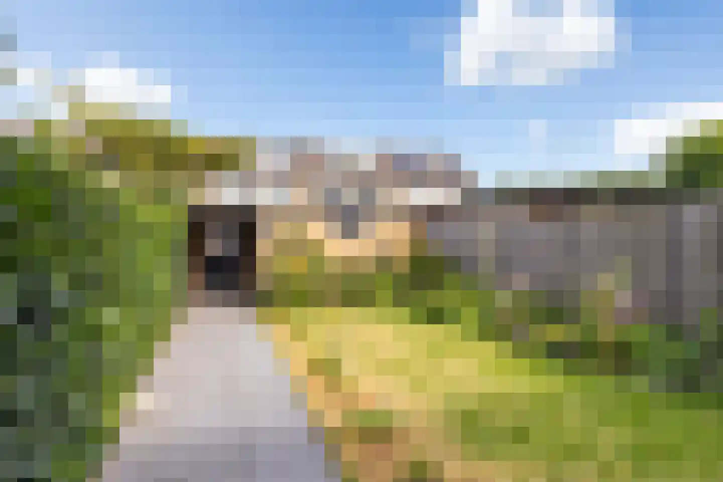 De Steenkamp 85 Voorthuizen thumbnail 30
