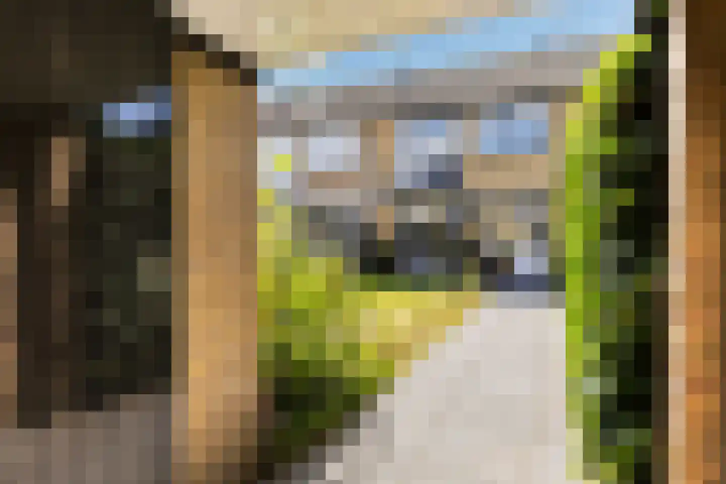 De Steenkamp 85 Voorthuizen thumbnail 31