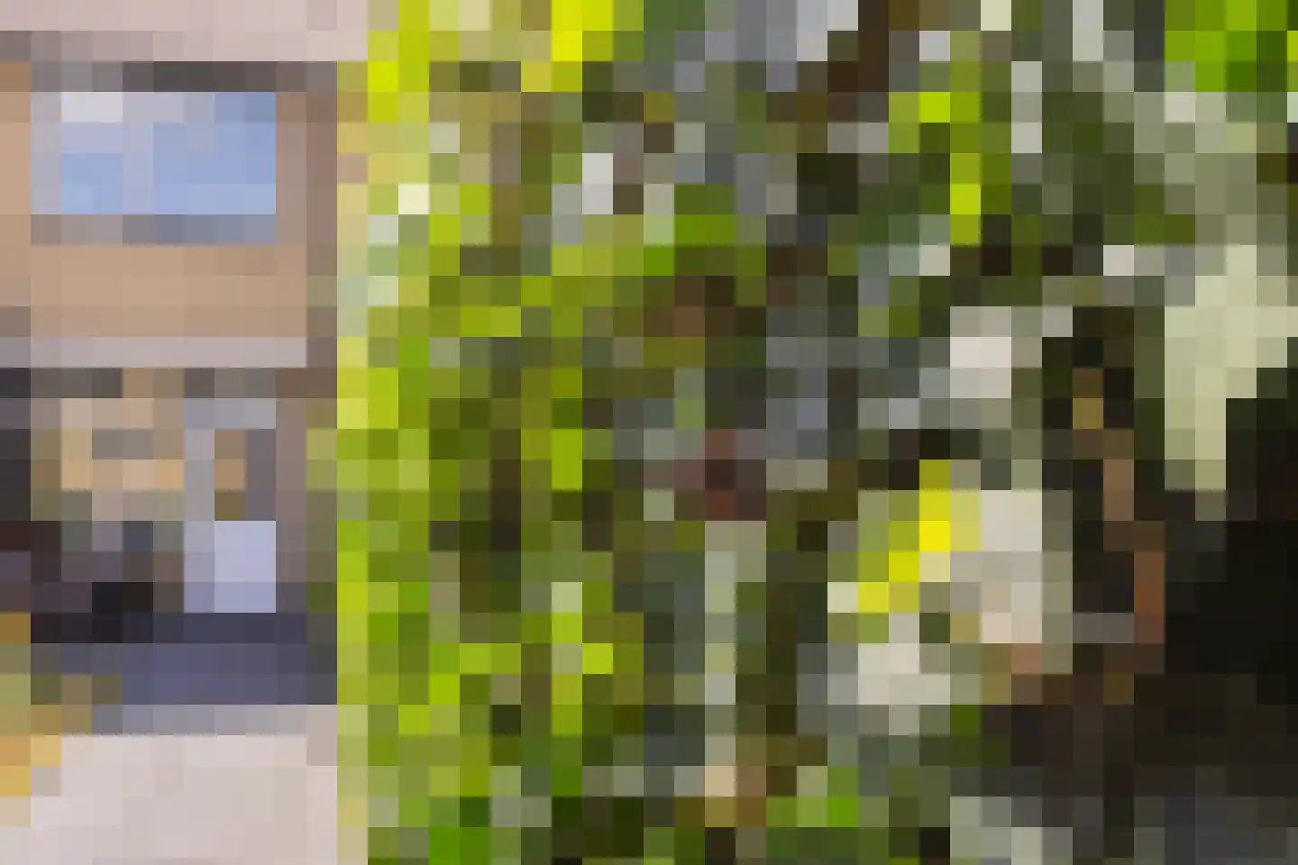 De Steenkamp 85 Voorthuizen thumbnail 33