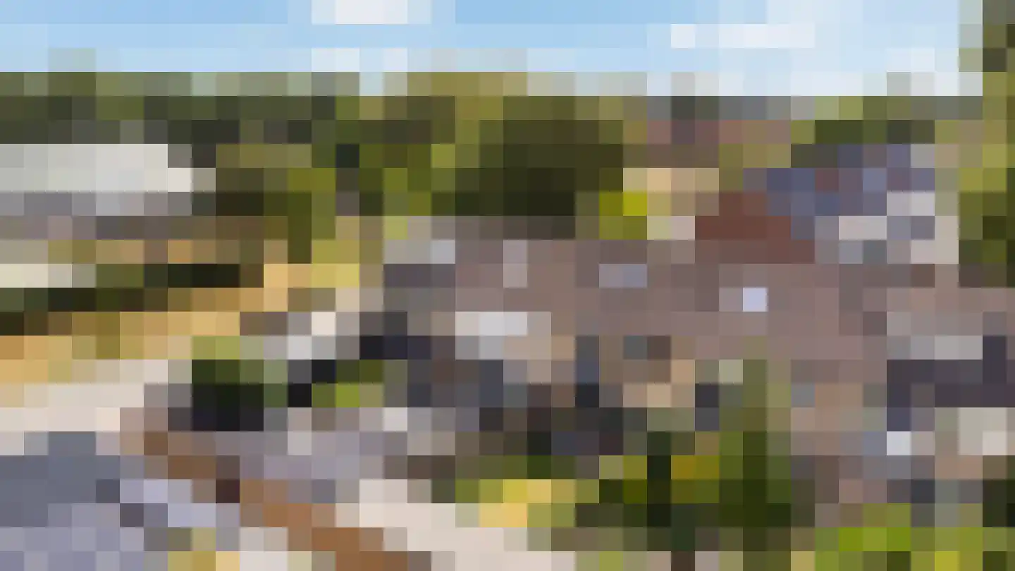 De Steenkamp 85 Voorthuizen thumbnail 34