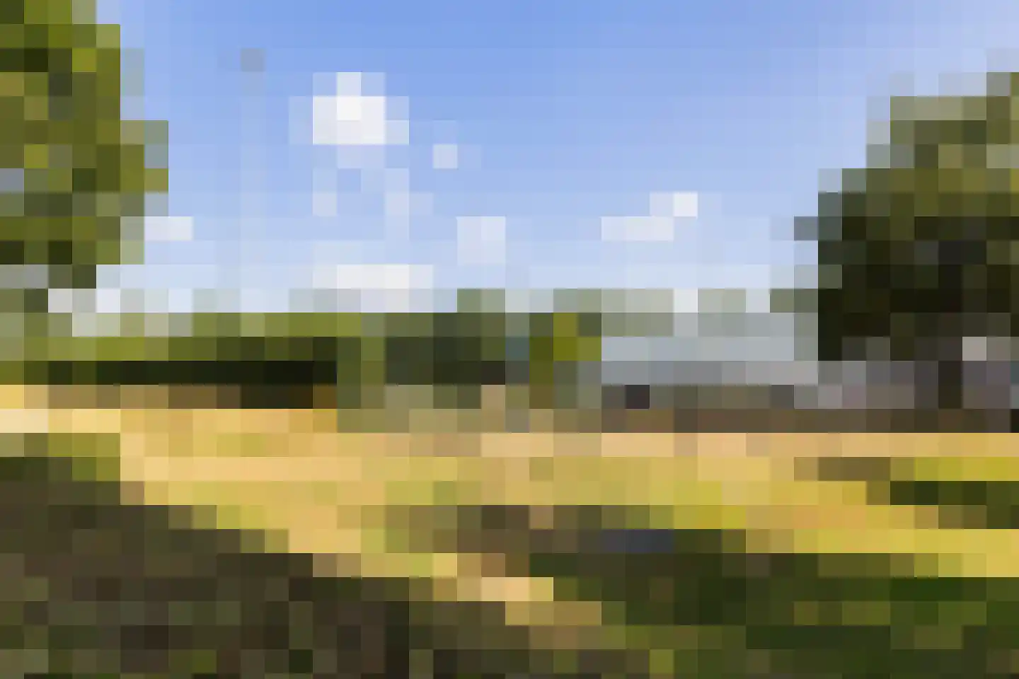 De Steenkamp 85 Voorthuizen thumbnail 35