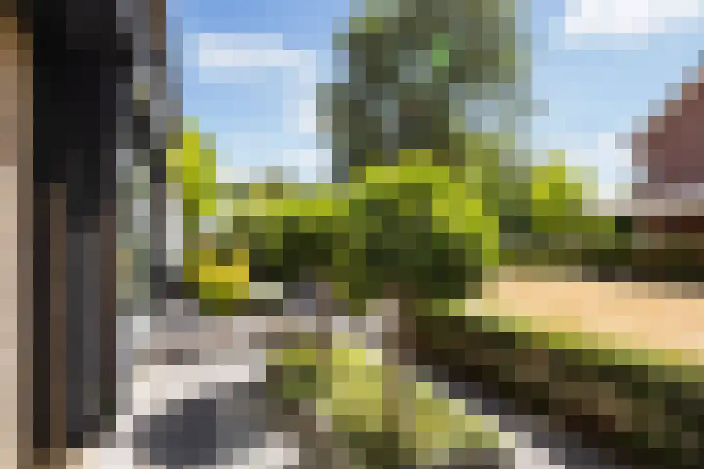 De Steenkamp 85 Voorthuizen thumbnail 8