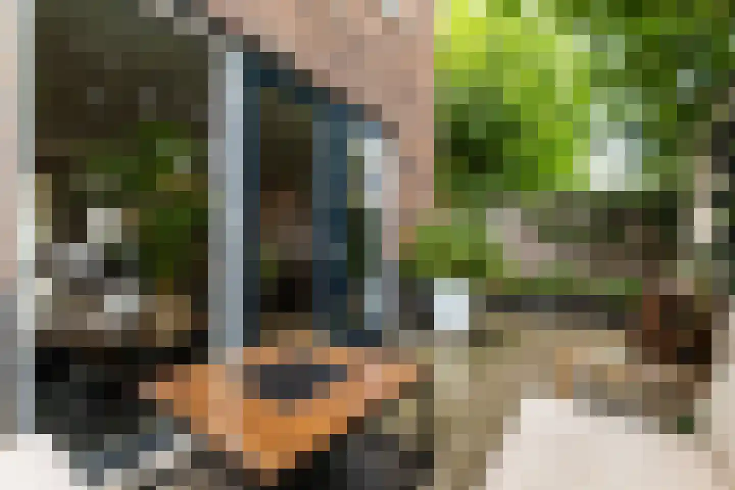 De Steenkuil 18 Woerden thumbnail 30