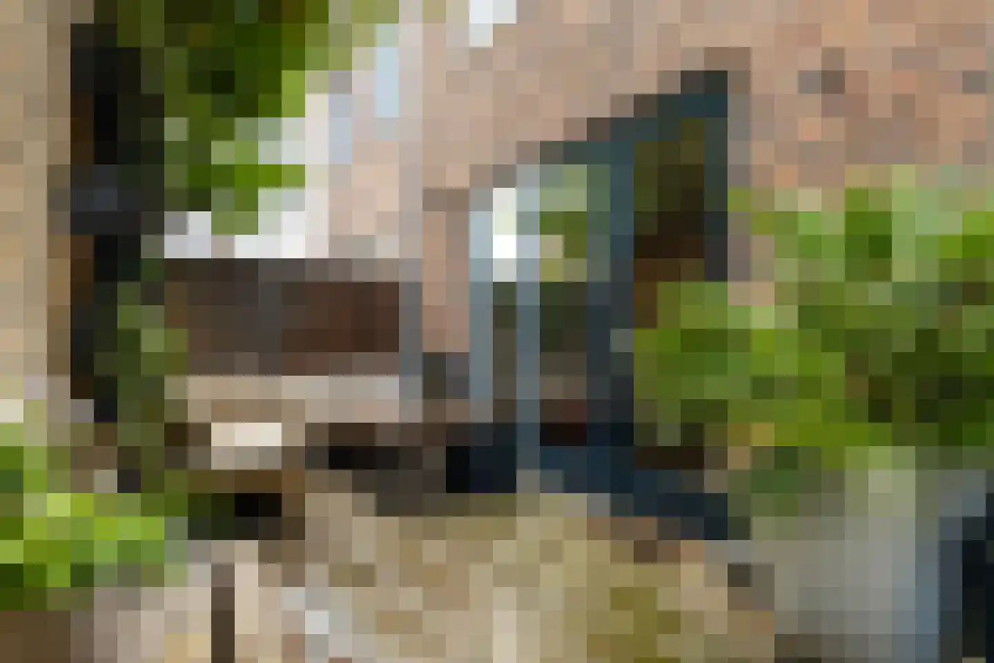De Steenkuil 18 Woerden thumbnail 31
