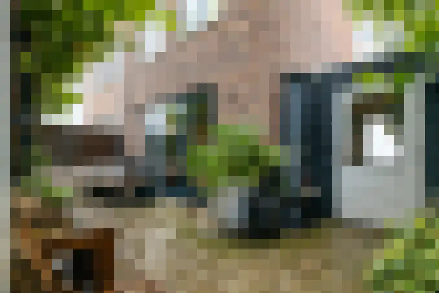 De Steenkuil 18 Woerden thumbnail 34