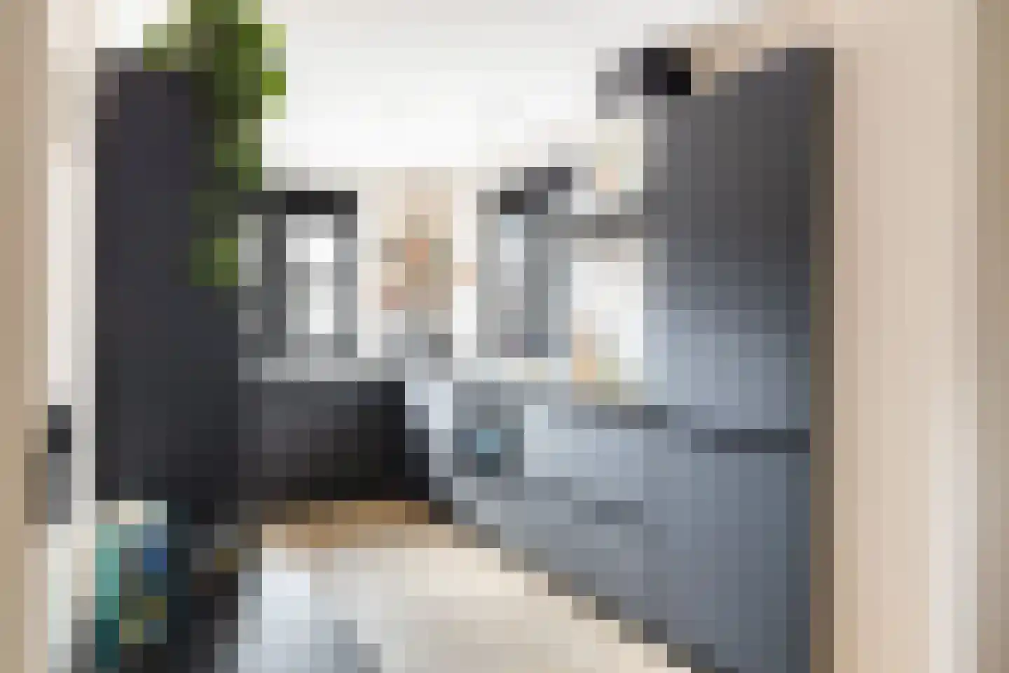 De Steenkuil 18 Woerden thumbnail 4