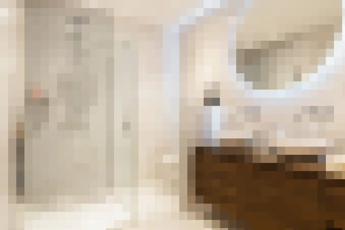 De Steenkuil 18 Woerden thumbnail 43
