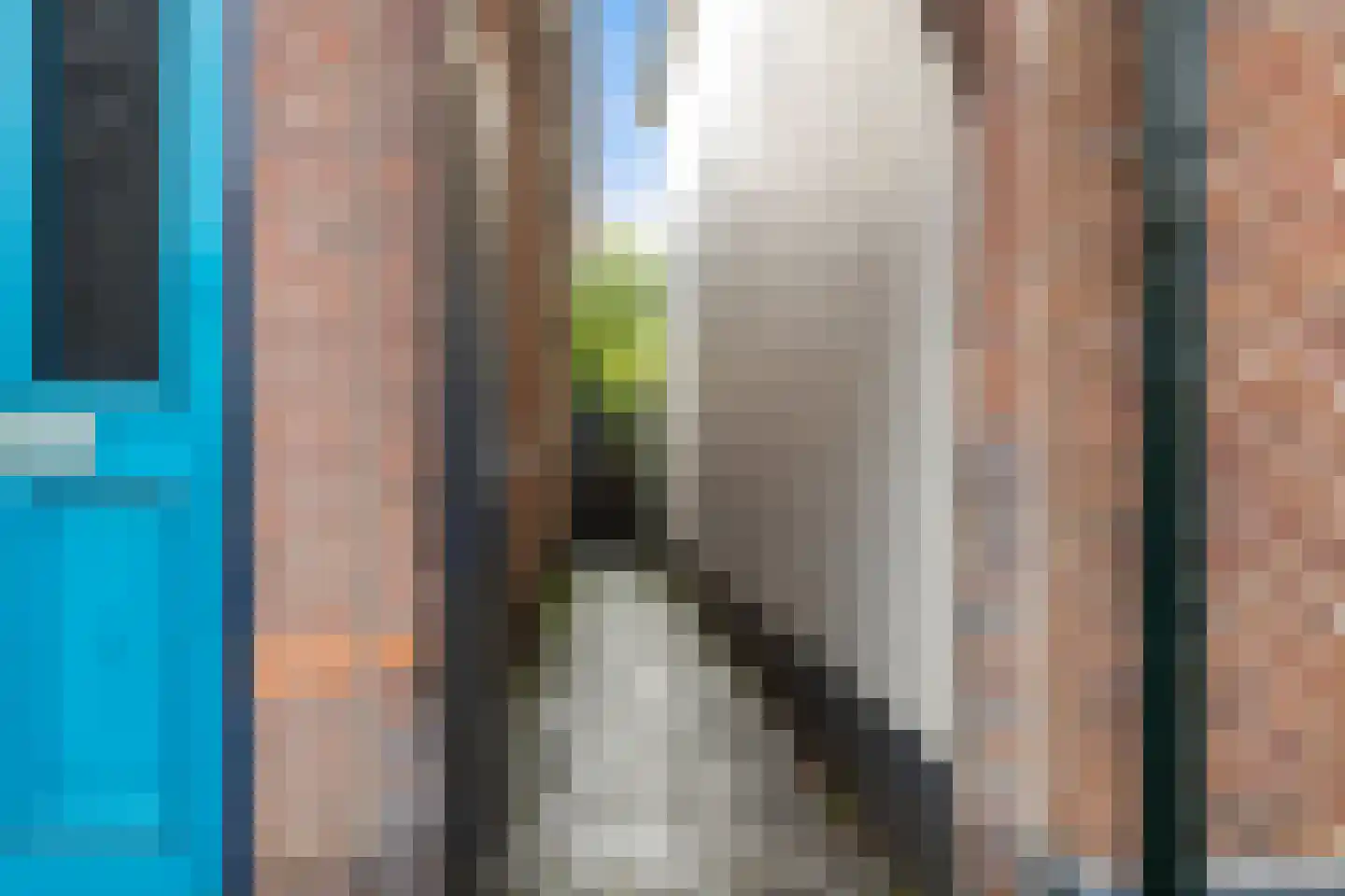 De Steenkuil 18 Woerden thumbnail 62