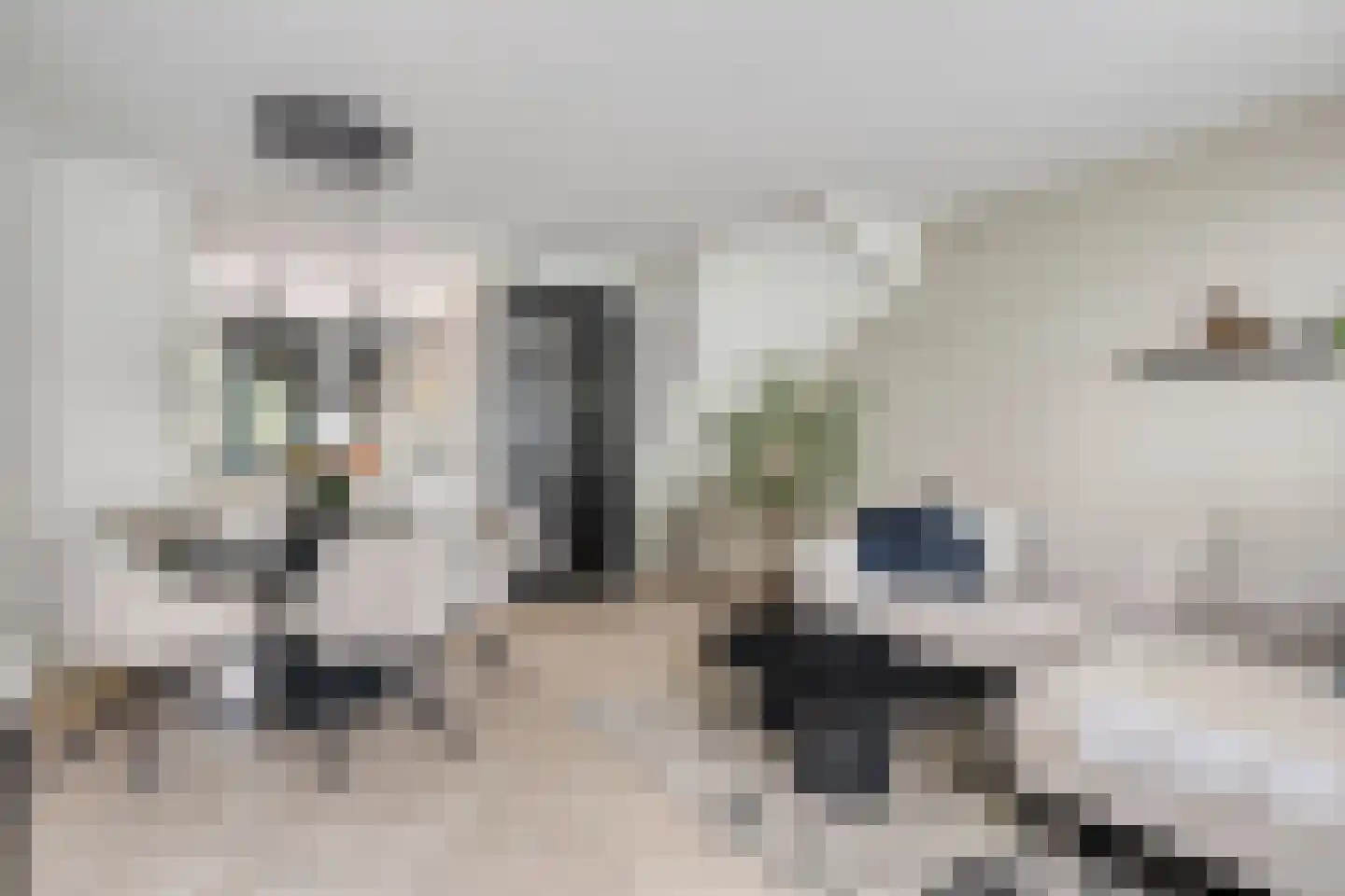 De Steenkuil 2 Woerden thumbnail 10