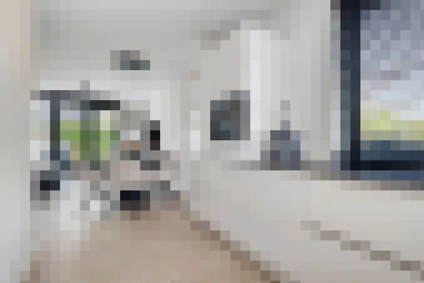 De Steenkuil 2 Woerden thumbnail 15