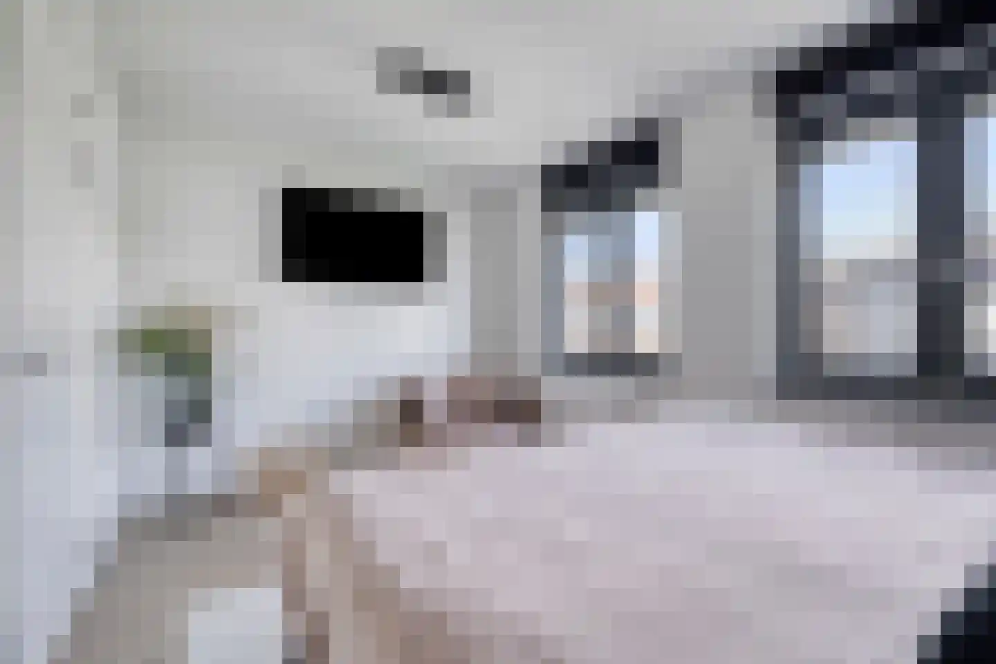 De Steenkuil 2 Woerden thumbnail 18