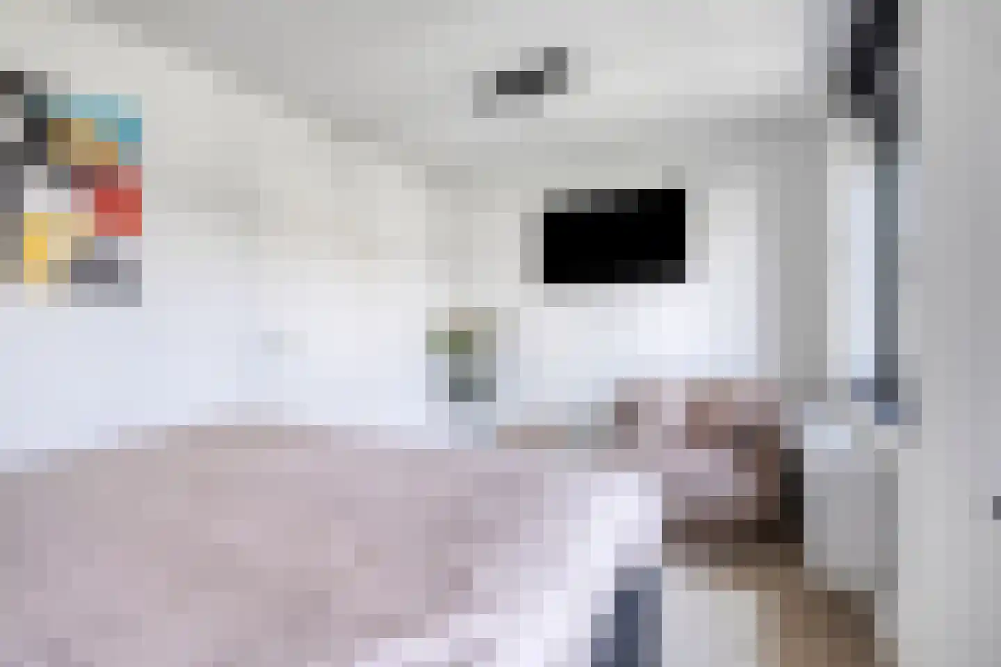 De Steenkuil 2 Woerden thumbnail 19