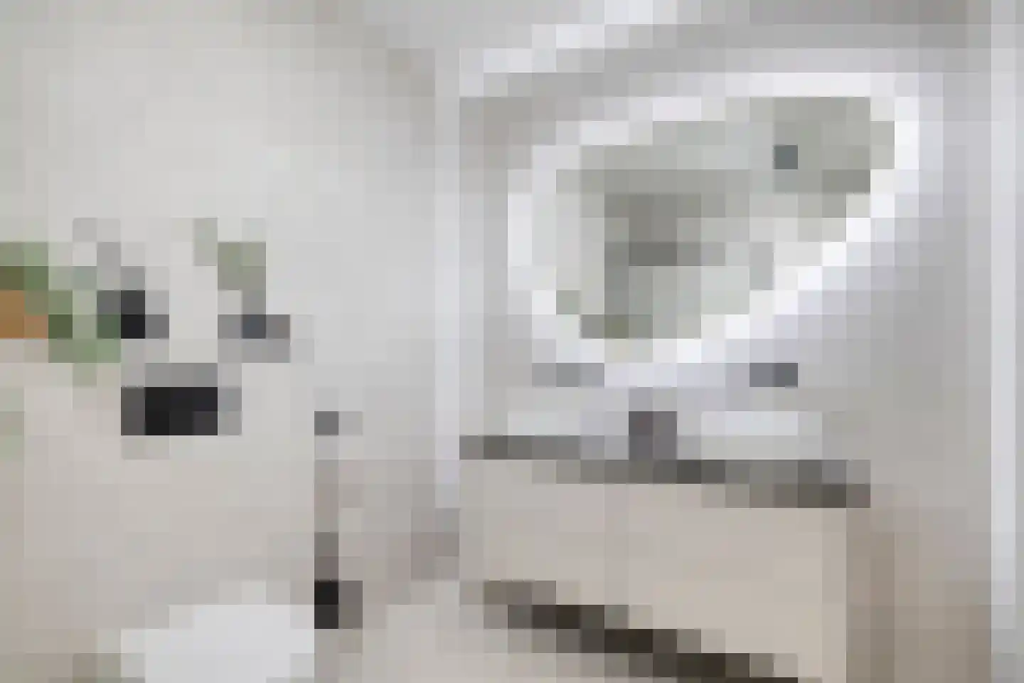 De Steenkuil 2 Woerden thumbnail 20
