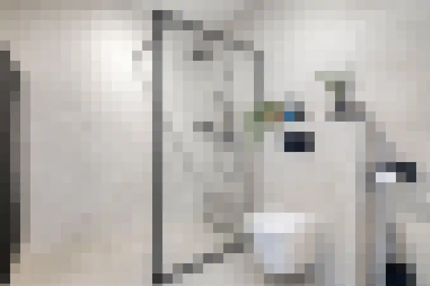 De Steenkuil 2 Woerden thumbnail 21