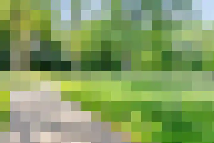De Steenuil 19 Amersfoort thumbnail 29