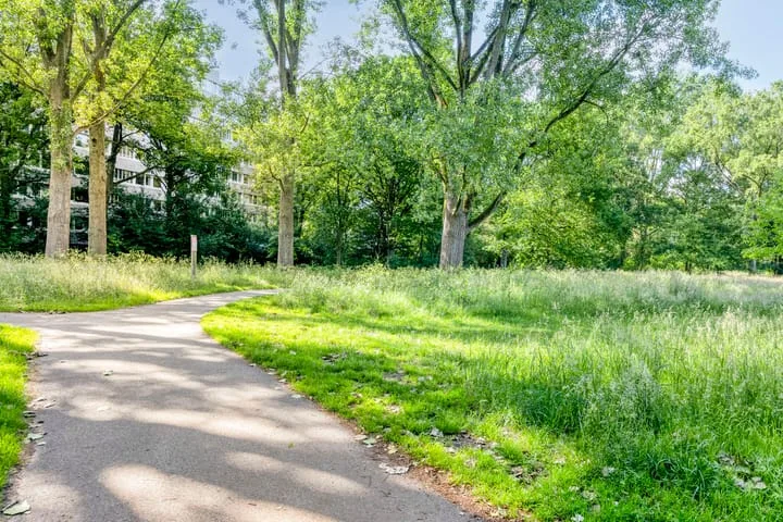 De Steenuil 19 Amersfoort thumbnail 29