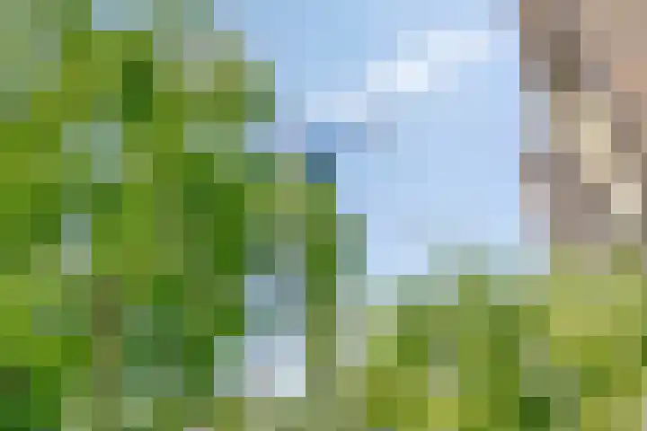 De Steenuil 19 Amersfoort thumbnail 6