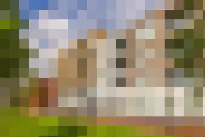 De Steenuil 35 en Amersfoort