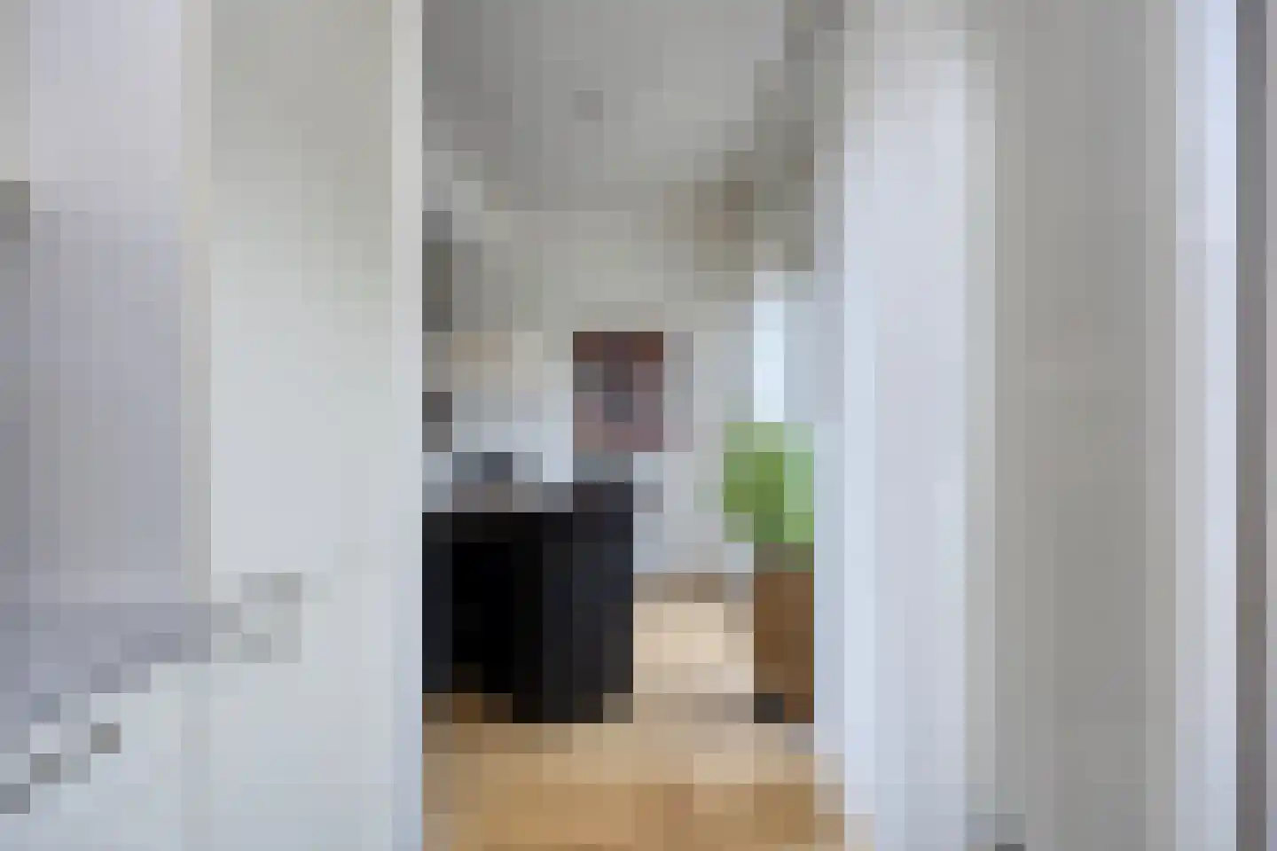 De Steenzager 17 Veldhoven thumbnail 16