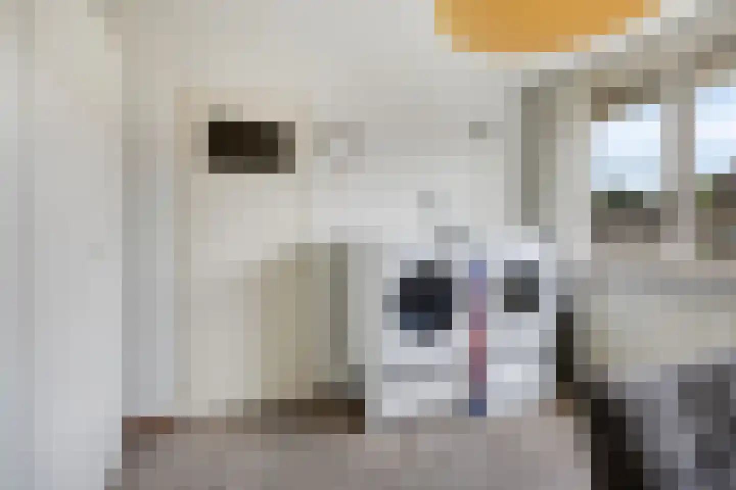 De Steenzager 17 Veldhoven thumbnail 27