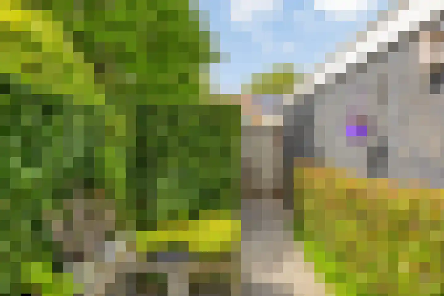 De Steenzager 17 Veldhoven thumbnail 38
