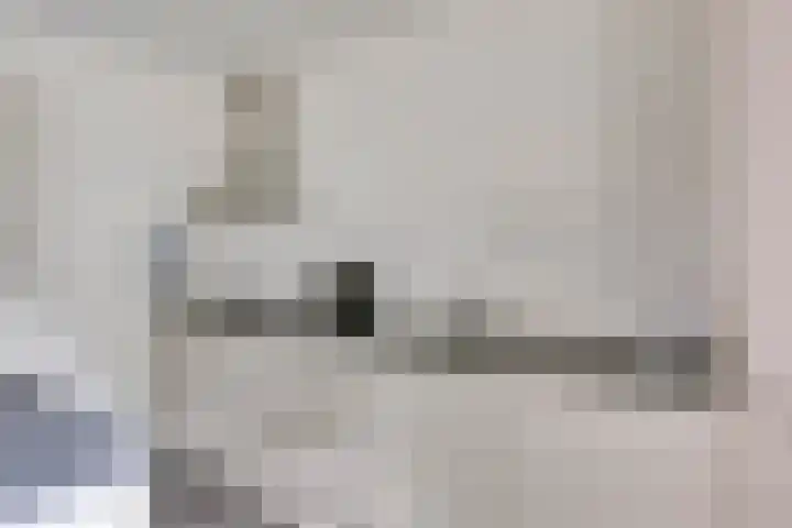 De Steenzager 2 Veldhoven thumbnail 10