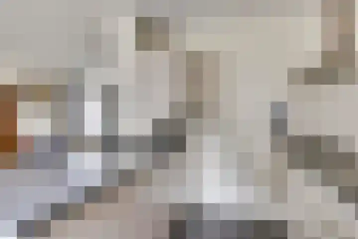 De Steenzager 2 Veldhoven thumbnail 11
