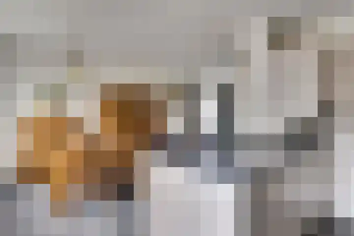 De Steenzager 2 Veldhoven thumbnail 12
