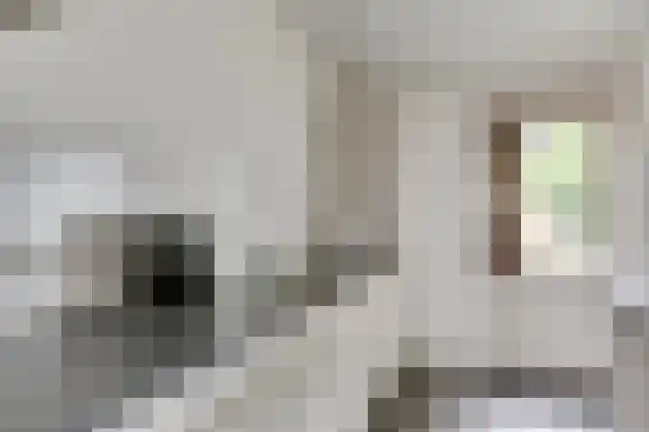 De Steenzager 2 Veldhoven thumbnail 13