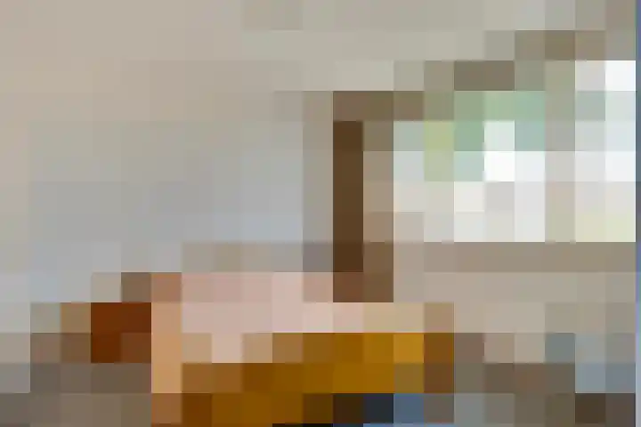 De Steenzager 2 Veldhoven thumbnail 16