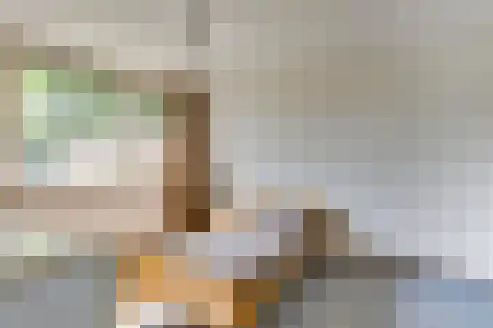 De Steenzager 2 Veldhoven thumbnail 18