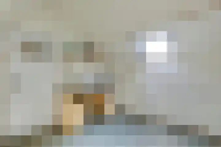De Steenzager 2 Veldhoven thumbnail 29