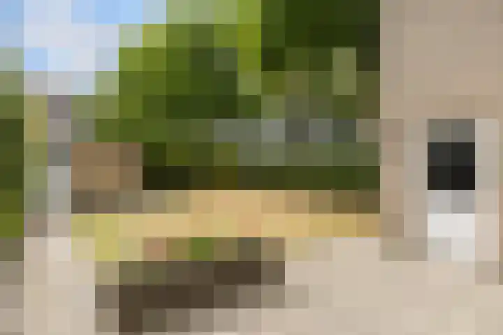 De Steenzager 2 Veldhoven thumbnail 30