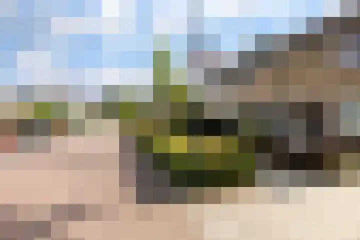 De Steenzager 2 Veldhoven thumbnail 31