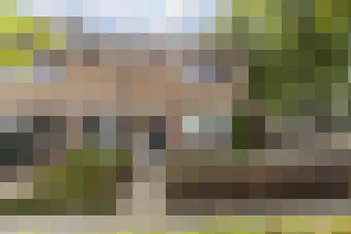 De Steenzager 2 Veldhoven thumbnail 34