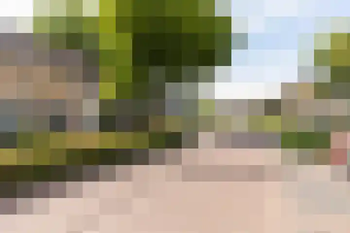 De Steenzager 2 Veldhoven thumbnail 36