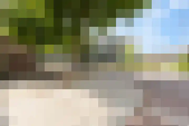 De Steenzager 2 Veldhoven thumbnail 37