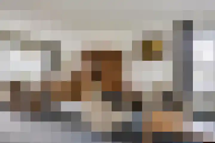 De Steenzager 2 Veldhoven thumbnail 4