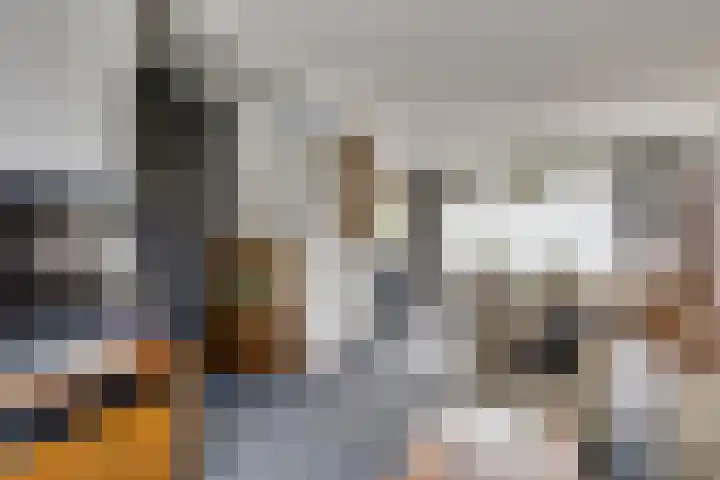 De Steenzager 2 Veldhoven thumbnail 6
