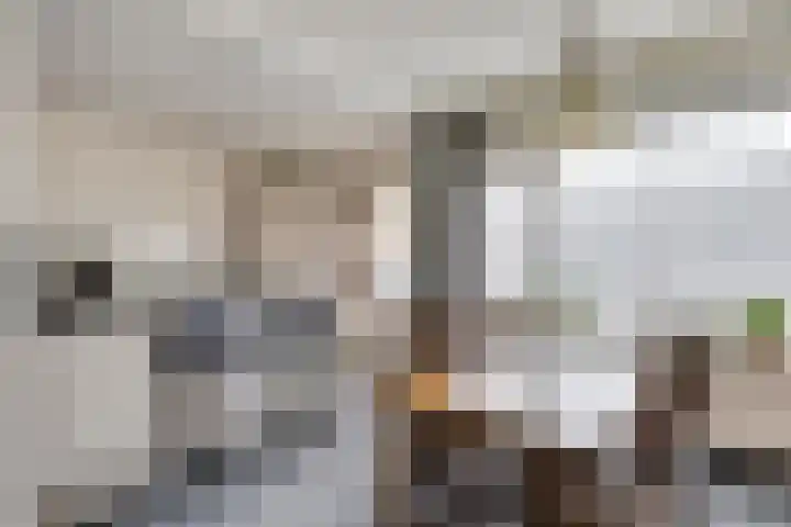 De Steenzager 2 Veldhoven thumbnail 7