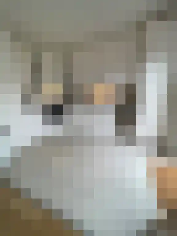 De Steenzager 27 Veldhoven thumbnail 4