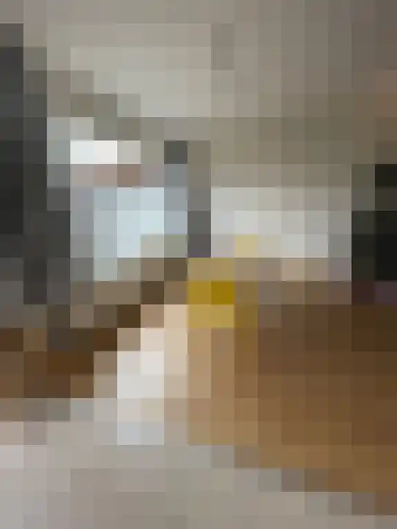De Steenzager 27 Veldhoven thumbnail 5