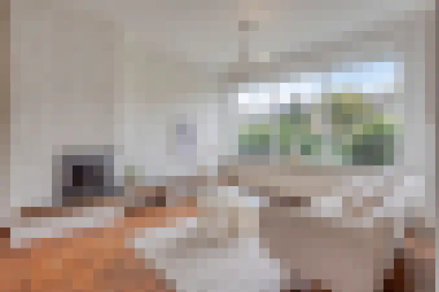 De Steenzager 33 Veldhoven thumbnail 10