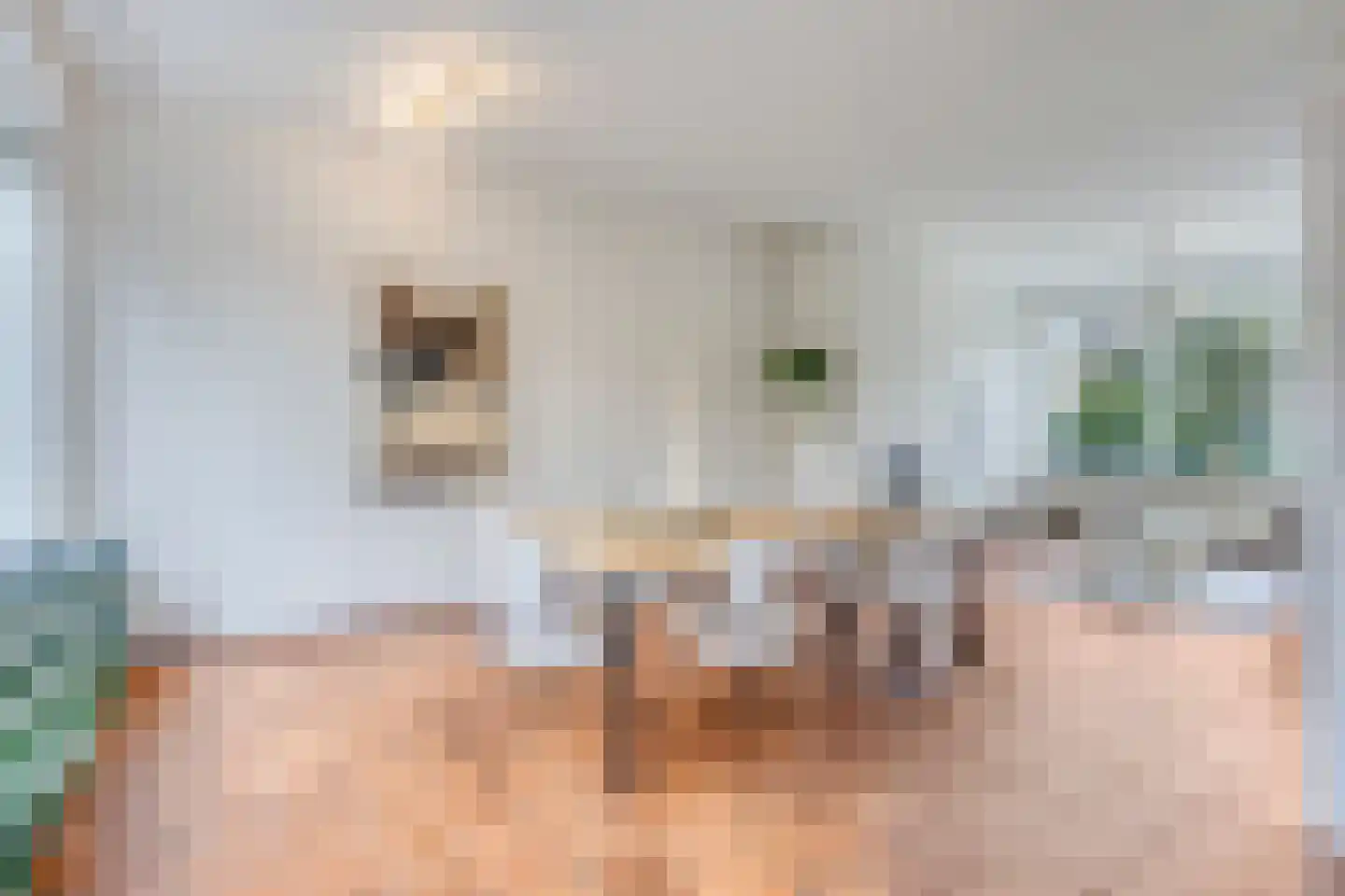 De Steenzager 33 Veldhoven thumbnail 19