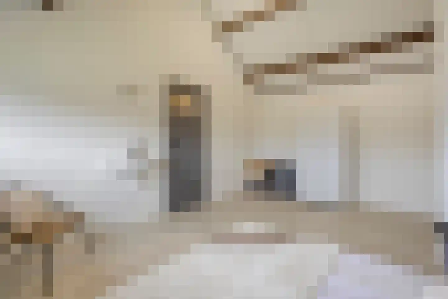De Steenzager 33 Veldhoven thumbnail 42