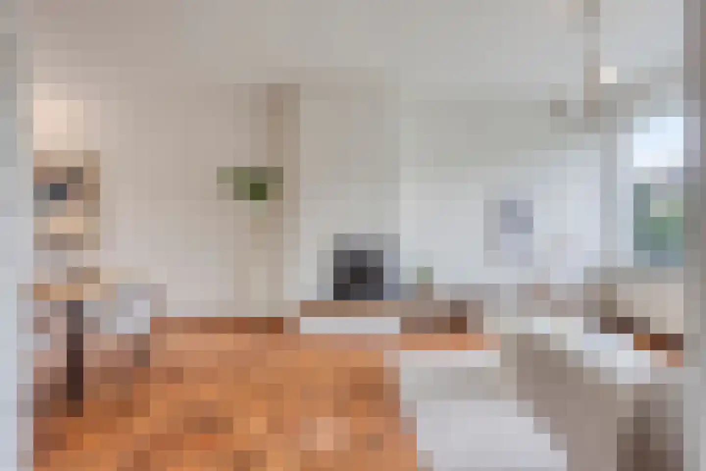 De Steenzager 33 Veldhoven thumbnail 9